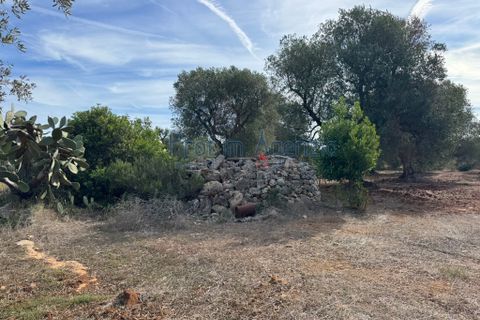 Helårsgrund i Carovigno, Brindisi, Carovigno - € 68.000 | Ref: 122778 - foto 10
